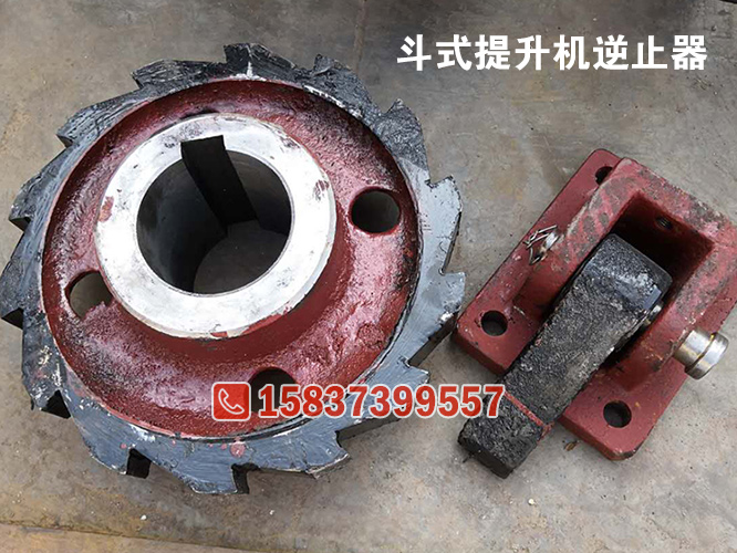 NE50提升机逆止器