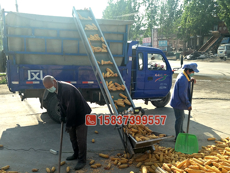 小型家用玉米棒子输送机