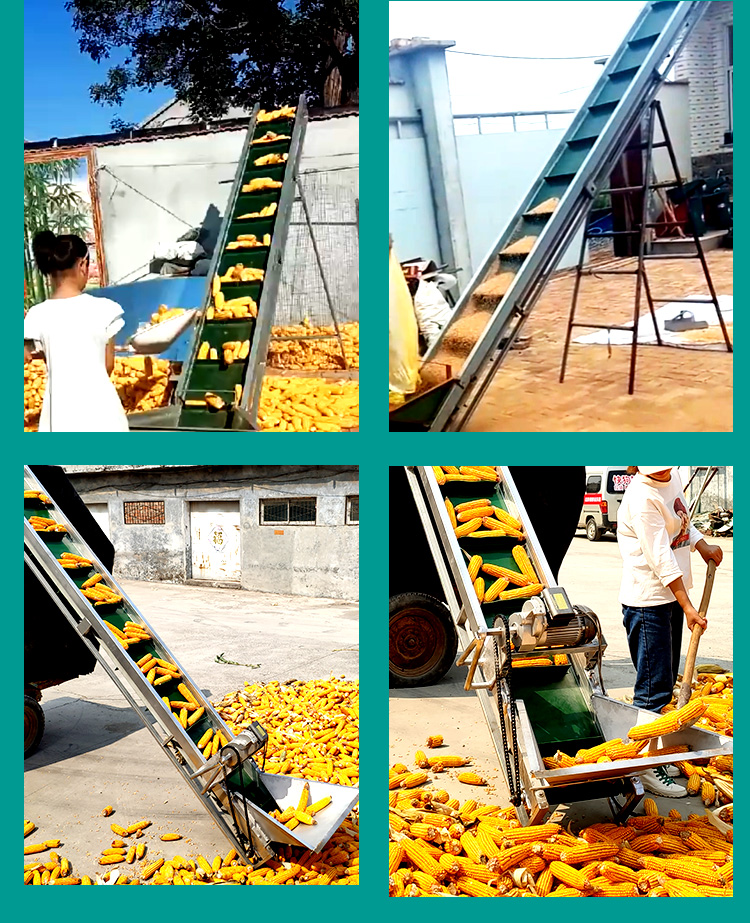 小型玉米棒输送机价格优惠